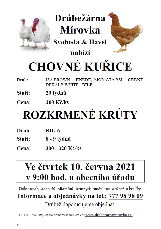 Drůbežárna Mírovka<br>Chovné kuřice