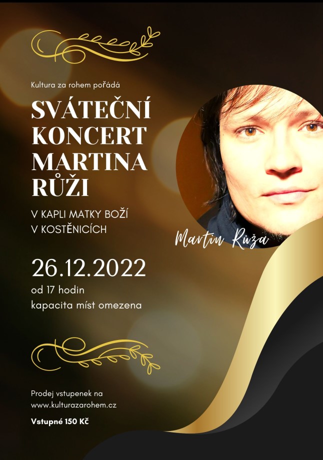 Sváteční koncert <br>Martina Růži