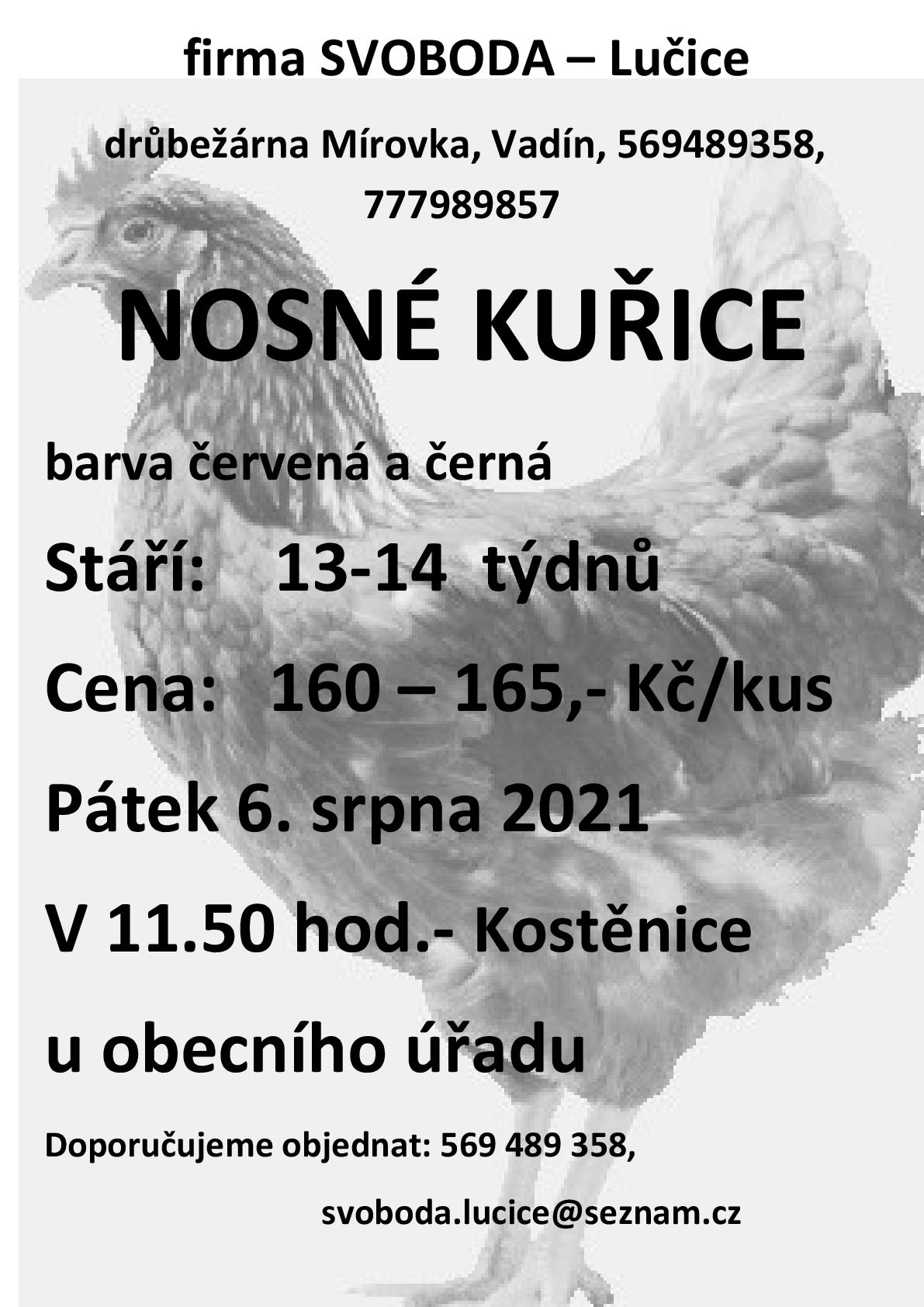 Nosné kuřice<br>Drůbežárna Mírovka