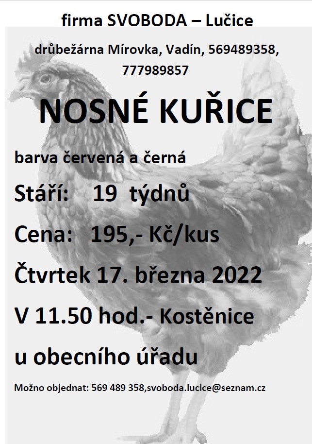 Nosné kuřice<br>drůbežárna Mírovka