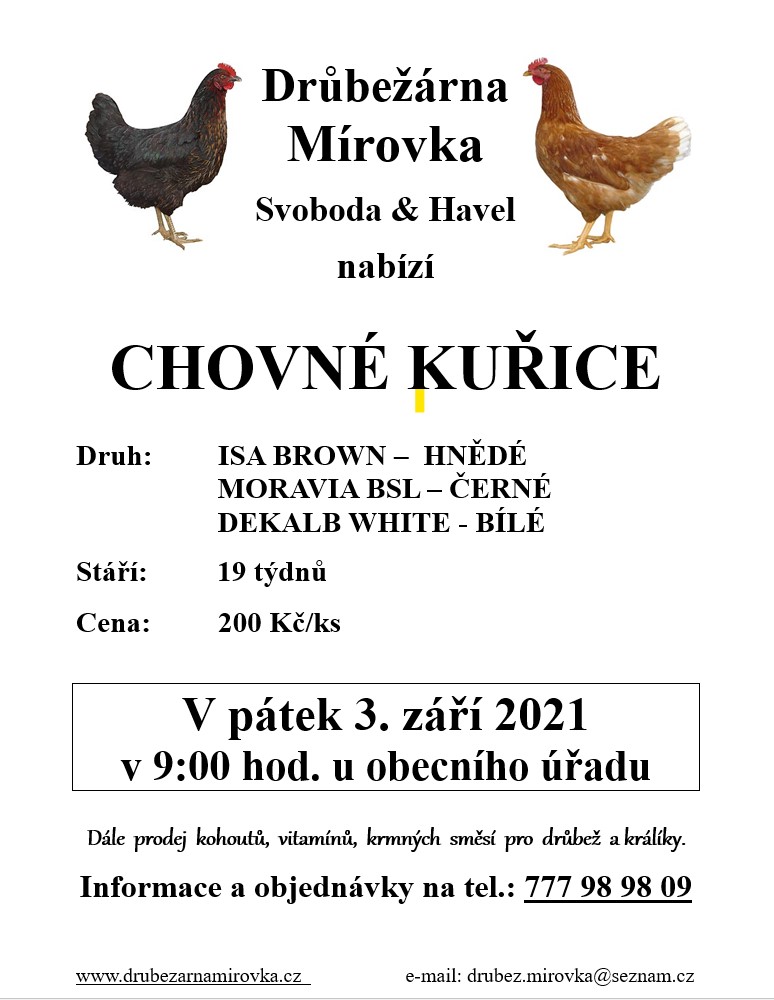 Drůbežárna Mírovka<br>Chovné kuřice