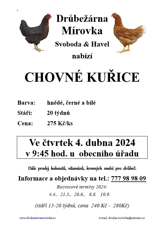 Drůbežárna Mírovka<br>Chovné kuřice