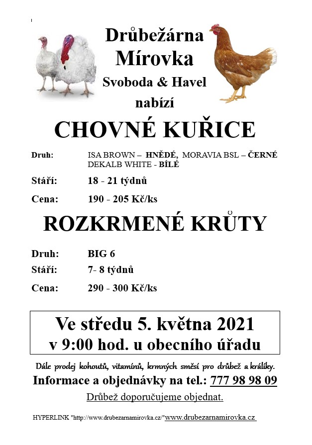 Chovné kuřice<br>Mírovka