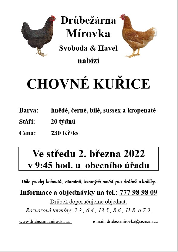 Drůbežárna Mírovka<br>Chovné kuřice