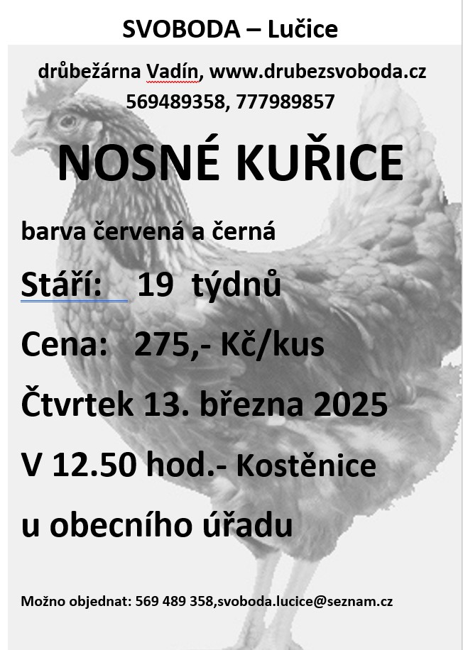 Nosné kuřice<br>Svoboda Lučice
