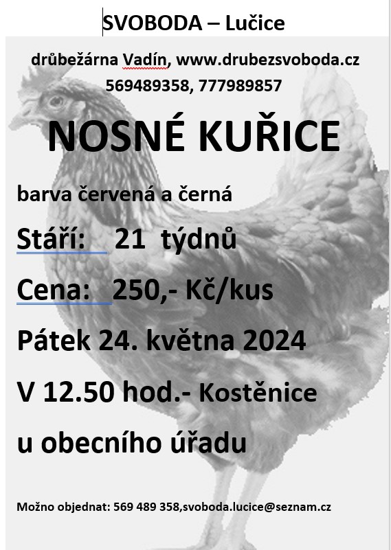 Nosné kuřice<br>Svoboda Lučice