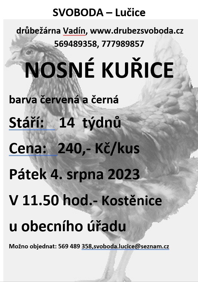 Nosné kuřice<br>Svoboda Lučice